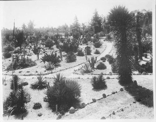 Desert garden, general view, south section