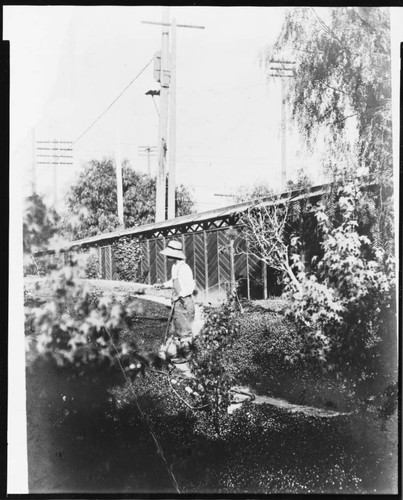 Marsh Japanese tea garden, circa 1910