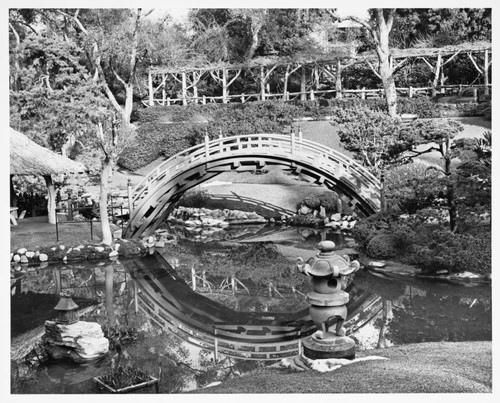 Drum bridge and wisteria pergola in the Japanese garden, 1962