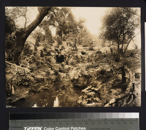 Stream and waterfall of the Japanese garden, circa 1913