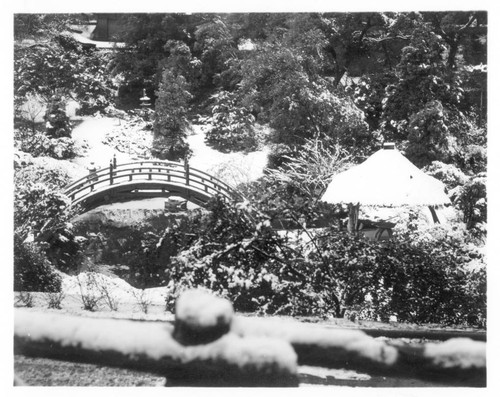 Japanese garden after snowfall, January 11, 1949