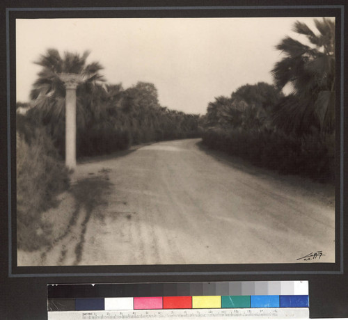 North drive with palms, circa 1922