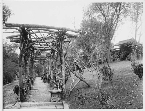 Wisteria pergola in Japanese garden, 1913