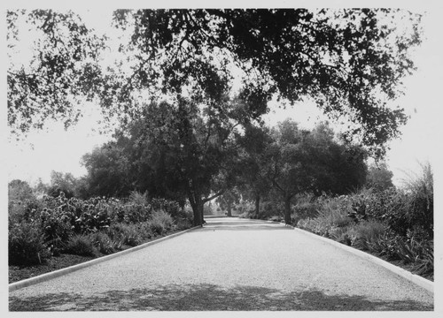 Road leading to Huntington mausoleum, circa 1928