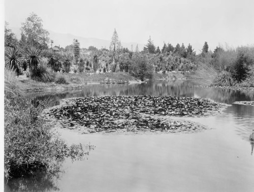 Reservoir of the San Marino ranch, circa 1924