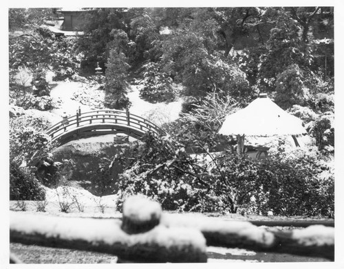 Japanese garden after snowfall, January 11, 1949