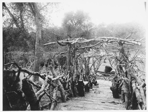 Wisteria pergola in the Japanese garden, 1913-1915
