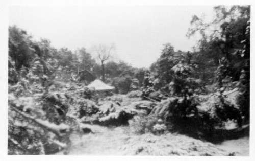 Japanese garden after snowfall, January 15, 1932