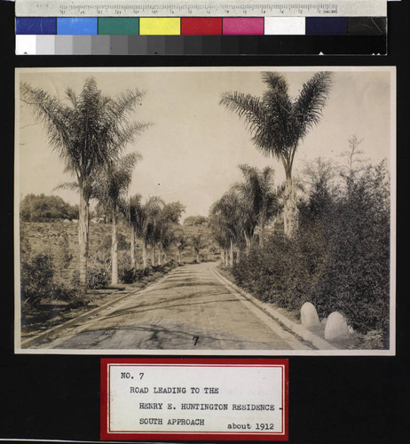 Palm lined drive leading to the Huntington residence, circa 1912