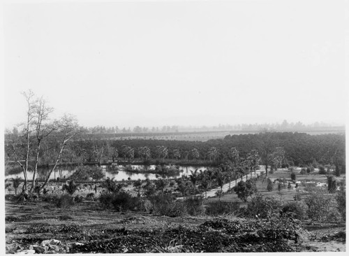 View south of the Huntington residence, circa 1908