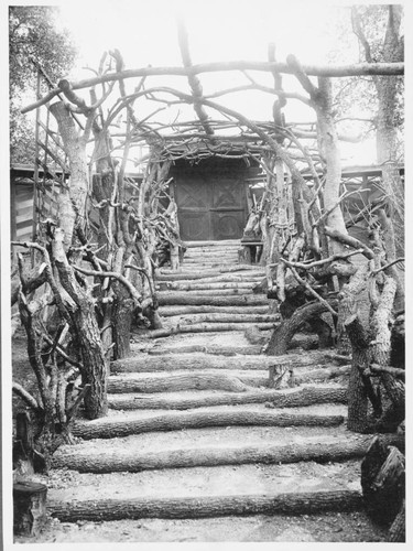 Wisteria pergola in the Japanese garden, 1913-1915