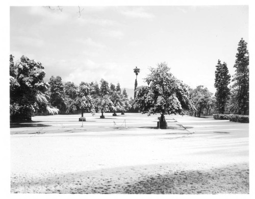 Parking lot of the San Marino Ranch after snowfall, January 11, 1949