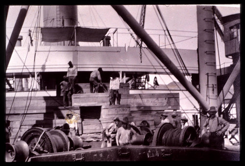 Plants bound for San Marino ranch being loaded onto a ship, circa 1912