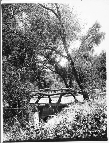 Japanese garden, 1913-1915