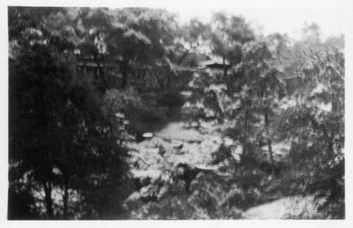 Japanese garden and wisteria pergola after snowfall, January 15, 1932