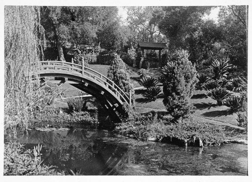 Drum bridge in the Japanese garden, circa 1925