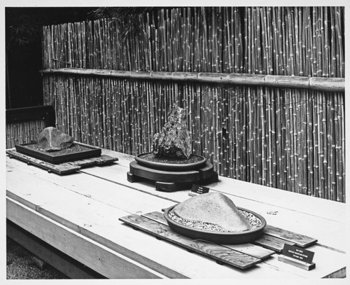 Suiseki display in the Japanese garden, 1972