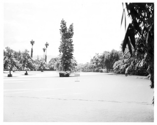 Parking lot of the San Marino Ranch after snowfall, January 11, 1949