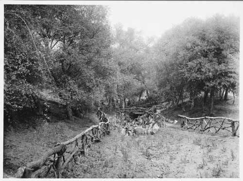 Japanese garden, 1913-1915