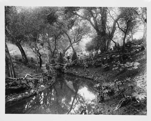 Stream of the Japanese garden , circa 1914