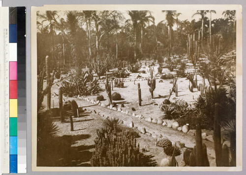 Desert garden, general view, circa 1930