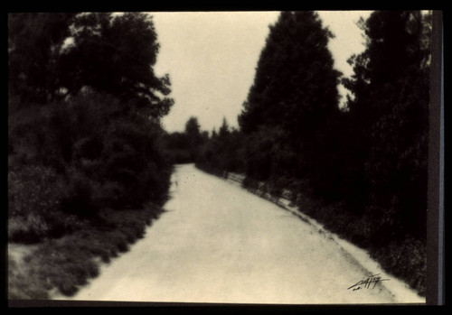 Dirt road on the San Marino ranch