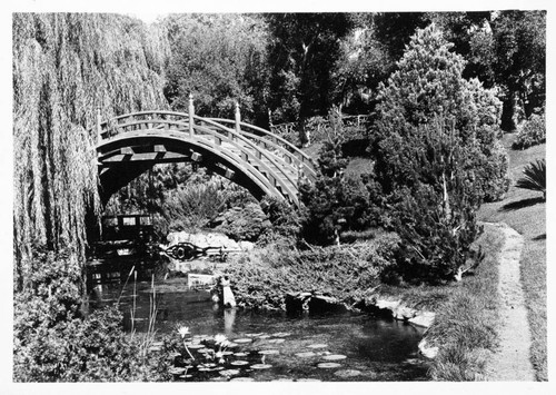 Drum bridge in the Japanese garden, circa 1925