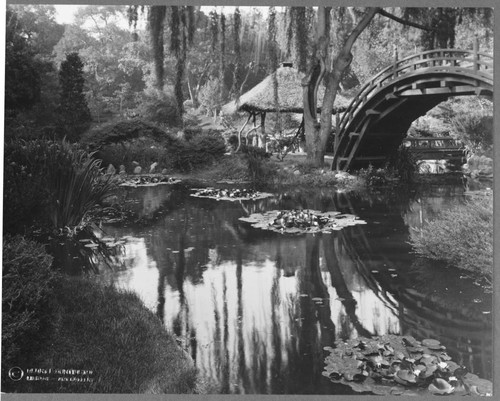 Drum bridge in the Japanese garden, circa 1920