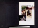 Annual Report - Henry E. Huntington Library and Art Gallery