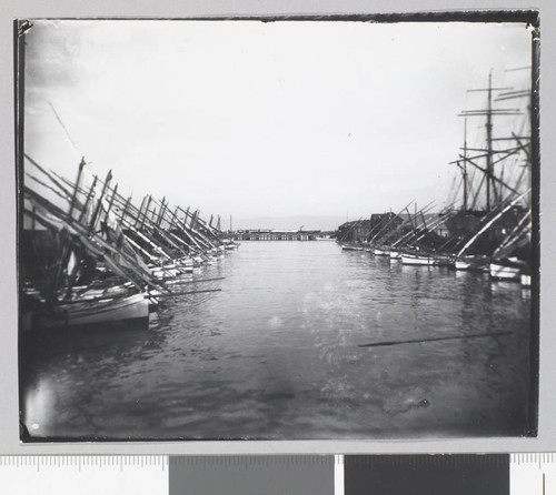 Vallejo Yacht Harbor