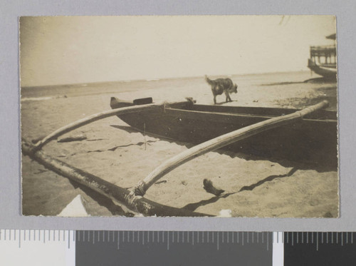 Hawaii, outrigger canoe