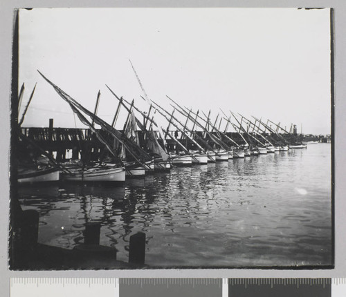 Vallejo Yacht Harbor
