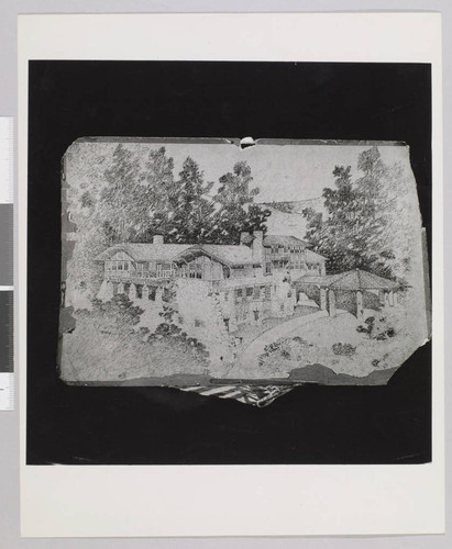 Wolf House, architect's drawing