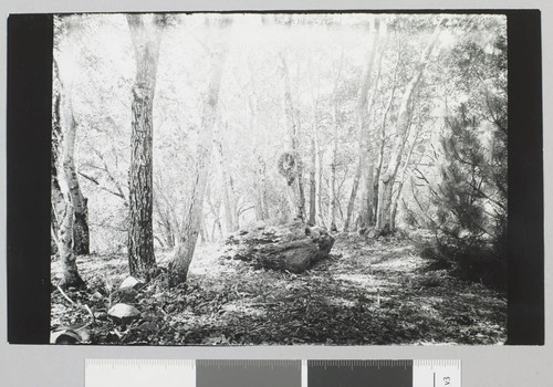 Jack London Ranch, Jack London's grave site