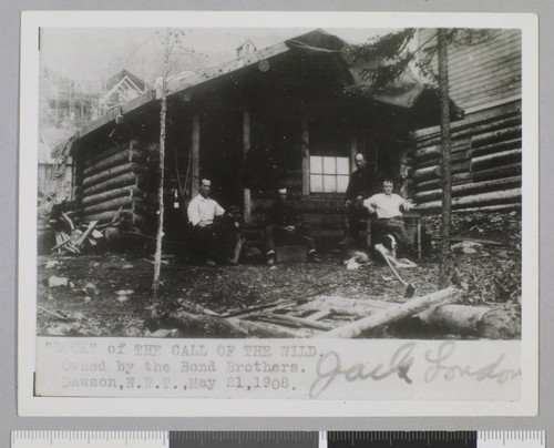 "Buck" of The Call of the Wild. Owned by the Bond Brothers. Dawson, N.W.T