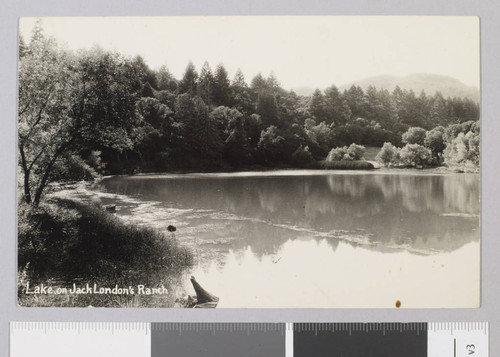 Lake on Jack London's Ranch