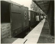 Loading Prunes for Shipment; c. 1940, Monterey Road near Alma