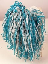 San Jose Sharks pom-pom