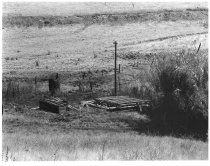 The Dairy, north of Metcalf Road - platform