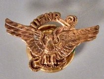 USNR pin