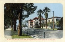 St. Claire Club, from St. James Park, showing Palm Trees over 40 years old, San Jose, Cal