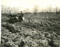 Tractor pulling Knapp Offset Disc Plow in orchard, Catalog Photo 31-A