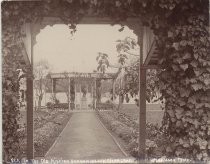 "In The Old Mission Garden Santa Clara, California"