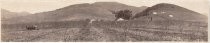 Orchard and farmhouse panorama