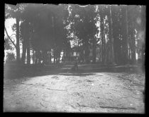 House in a wooded landscape