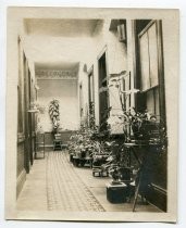 Interior hallway with plants