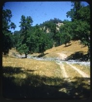 Tracks crossing gravel creekbed in foothills