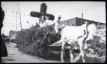 1910 Carnival of Roses