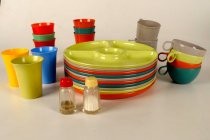 Picnic dishware