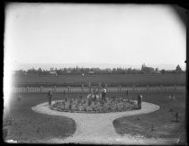 Gardeners planting roses